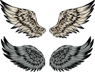 Bird wings illustration tattoo style. Hand drawn design element.
