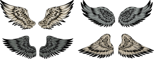 Bird wings illustration tattoo style. Hand drawn design element.
