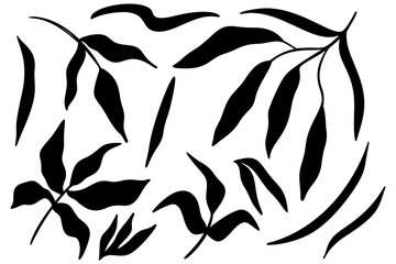 Leaves set. Tree. Black silhouette of leaves. For your use. An object