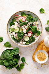 Spinach and cottage cheese fresh green vegetable salad with radish, cucumber and yogurt, healthy...