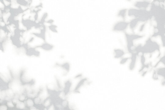 Shadow and sunshine with light of leaves reflection. Jungle gray darkness leaf plants shadows shade and lighting on wall background, Natural shadows overlay effect foliage mockup wallpaper and design