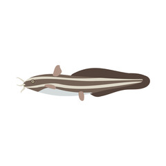 ゴンズイ。フラットなベクターイラスト。
Japanese eel catfish. Flat designed vector illustration.