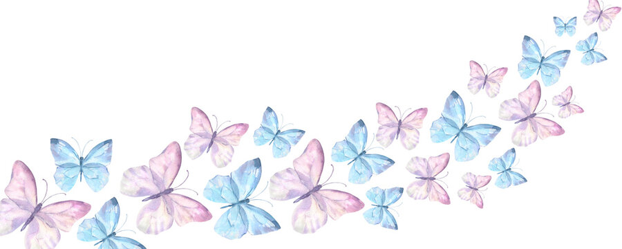 Bordure with watercolor illustration delicate blue and pink butterflies. Design for packaging, label and greeting card