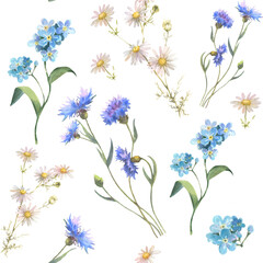 Fototapeta premium Watercolor seamless pattern with blue field flowers, Cornflower herb, chamomile, and forget me not, drawing by watercolor, hand drawn floral illustration, isolated on white background