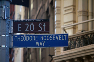 Brown East 20th Street and Theodore Roosevelt Way historic sign in Midtown Manhattan in New York City in Ladies Mile Historic District