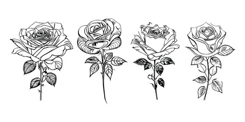 Four Coloring Book showcases stunning depictions of four individual roses.
