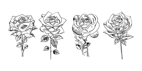 Four Coloring Book showcases stunning depictions of four individual roses.