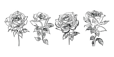 Four Coloring Book showcases stunning depictions of four individual roses.