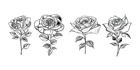 Four Coloring Book showcases stunning depictions of four individual roses.
