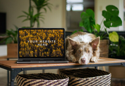 Laptop with Dog Mockup