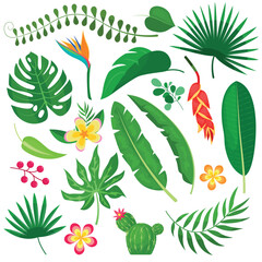 Vector cartoon image of tropical leaves. The concept of summer and a trip. A botanical element for your design.