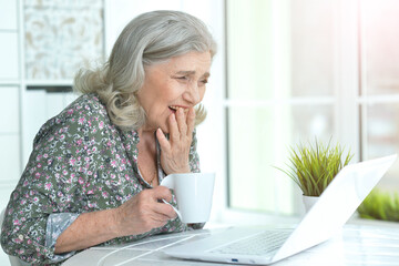 Happy senior woman using laptop