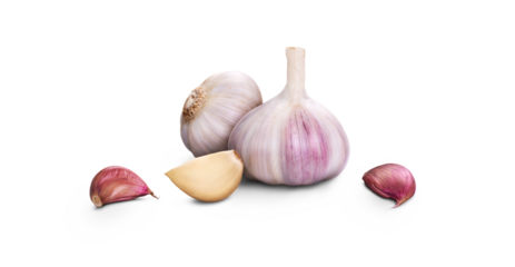 A whole fresh garlic head and clove segments isolated against a transparent background.
