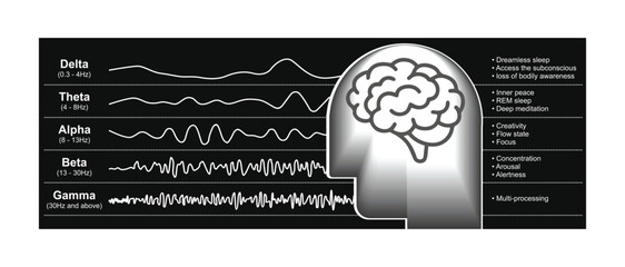 Different kinds of waveforms are produced by brain activity. Demonstration of human brain waves patterns