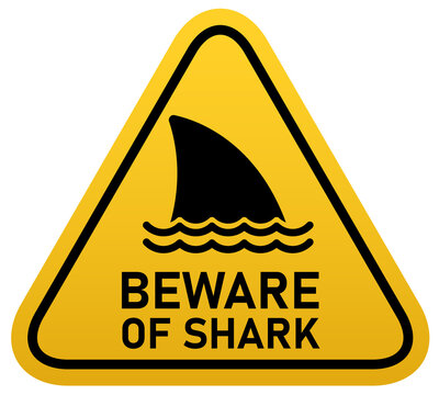 warning danger beware of shark