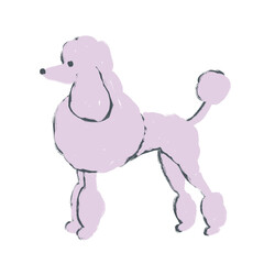 Hand drawn illustration with poodle dogs on white background. Pink mauve lilac animal pet in funny cartoon sketch style, cute fluffy puppy dogshow grooming salon print, for textile dog bandana.