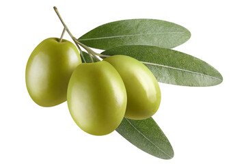 Three delicious green olives with leaves, cut out