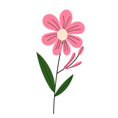 pink flower in doodle style on white background, vector