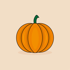 vector illustration of a pumpkin, ripe pumpkin vegetable cartoon fruit vector icon drawing.