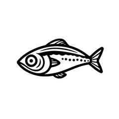 Anchovy vector illustration isolated on transparent background