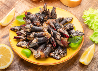 Raw goose barnacles close up on yellow plate on wooden table.