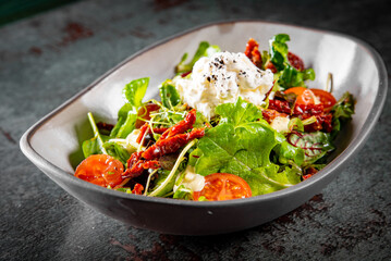 Sun dried tomatoes Salad with fresh vegetables mix and cheese on plate