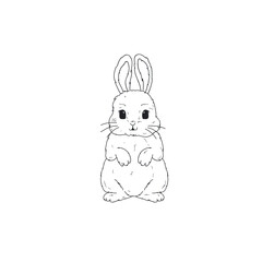 rabbit draw