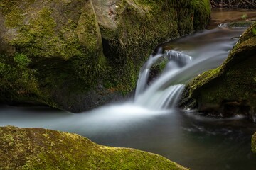 Small stream summertime in Luxembourg