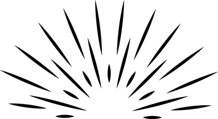 Vintage sunshine logo. Radial rays. Sun beam