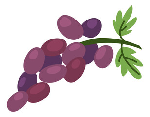 Grapes icon. Hand drawn fruit bunch with green leaves