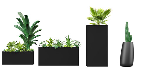 Collection of beautiful plants & cactus in black ceramic pots isolated on transparent background or digital composition, illustration, architecture visualization