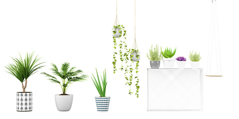 Collection of beautiful plants hanging in ceramic pots isolated on transparent background, 3D rendering, for illustration, digital composition and architecture visualization