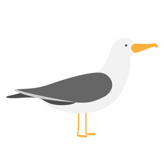 Obraz premium Seagull. Bird gull. Clipart on a white background. Character