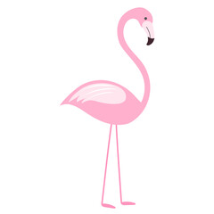 Clip art with a pink flamingo bird in a simplified flat style on white.