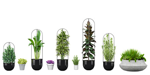 Set of beautiful plants hanging in various pots isolated on transparent background, 3D rendering, for illustration, digital composition and architecture visualization