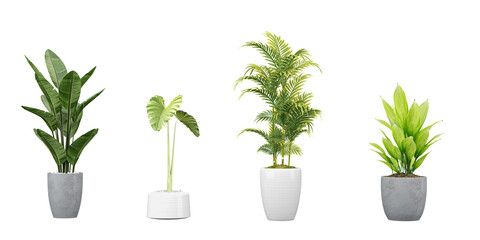 Obraz premium set of Transparent Botanical Illustrations, Nature's Beauty Without Backgrounds, 3d rendering, for digital composition and architecture visualization