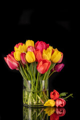 Large colorful bouquet of tulips in big glass vase in front of black background
