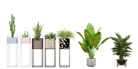 Obraz na płótnie Canvas Transparent plant cut-out with cactus for illustration, digital composition and architecture visualization