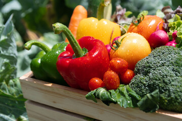 Wooden crate filled with fresh organic vegetables .