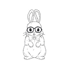 rabbit cartoon