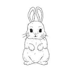 easter bunny with flowers