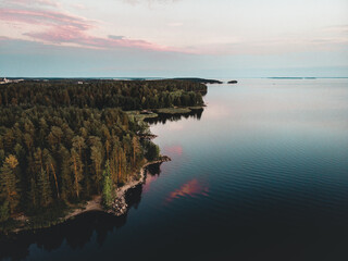 Aerial shot of a lake against a green forest at a cloudy sunset