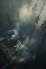 Obraz premium Smoke from a fire in a field full of trees, extreme summer heat. Generate by ai