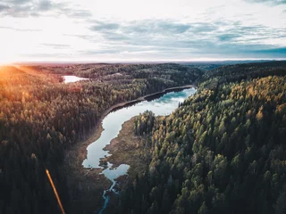  Beautiful landscape of a river flowing in a dense fir forest on the sunrise © Kasper Garam/Wirestock Creators