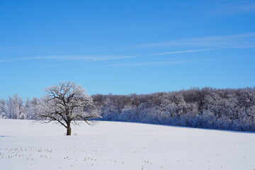 Frozen Winter country landscape outside of Campbellsport, Wisconsin