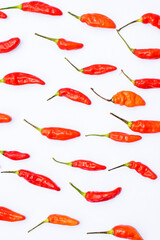 Red chili peppers on a white background. hot chili