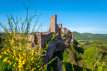 Burgenmassiv Altdahn, hier der Blick von der Burgruine Grafendahn zur Burgruine Altdahn bei Dahn. Region Pfalz im Bundesland Rheinland-Pfalz in Deutschland