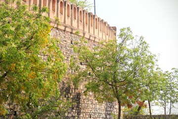 Beautiful green forest scenery within the urban landscape