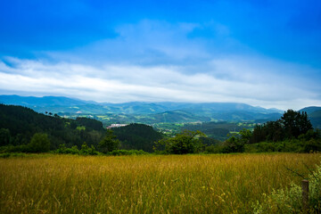 landscape in mountains. grassy field and rolling hills out of focus. rural scenery.