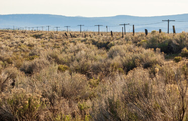 Overlook of Hills at Shasta-Trinity National Forest